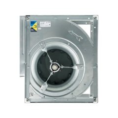 BDB-1000 TM